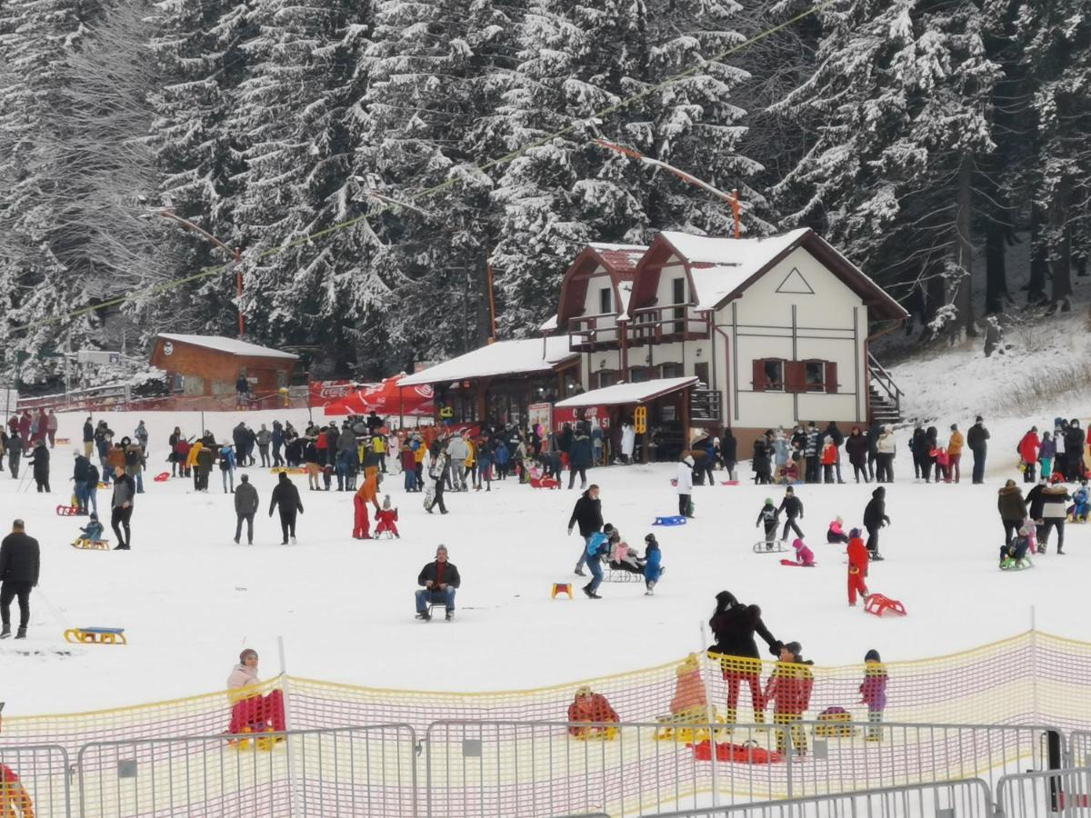 Pension Condor Poiana Brasov Eksteriør billede