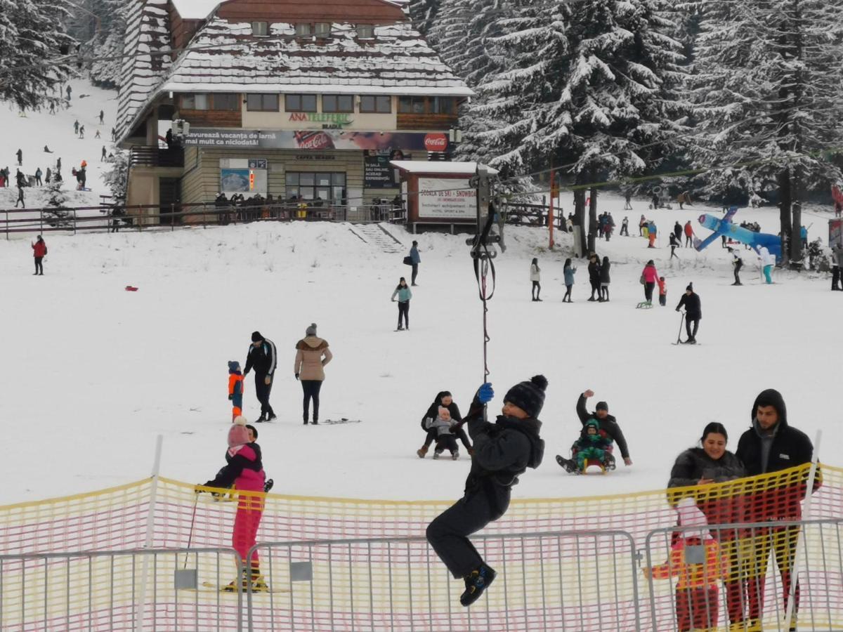 Pension Condor Poiana Brasov Eksteriør billede