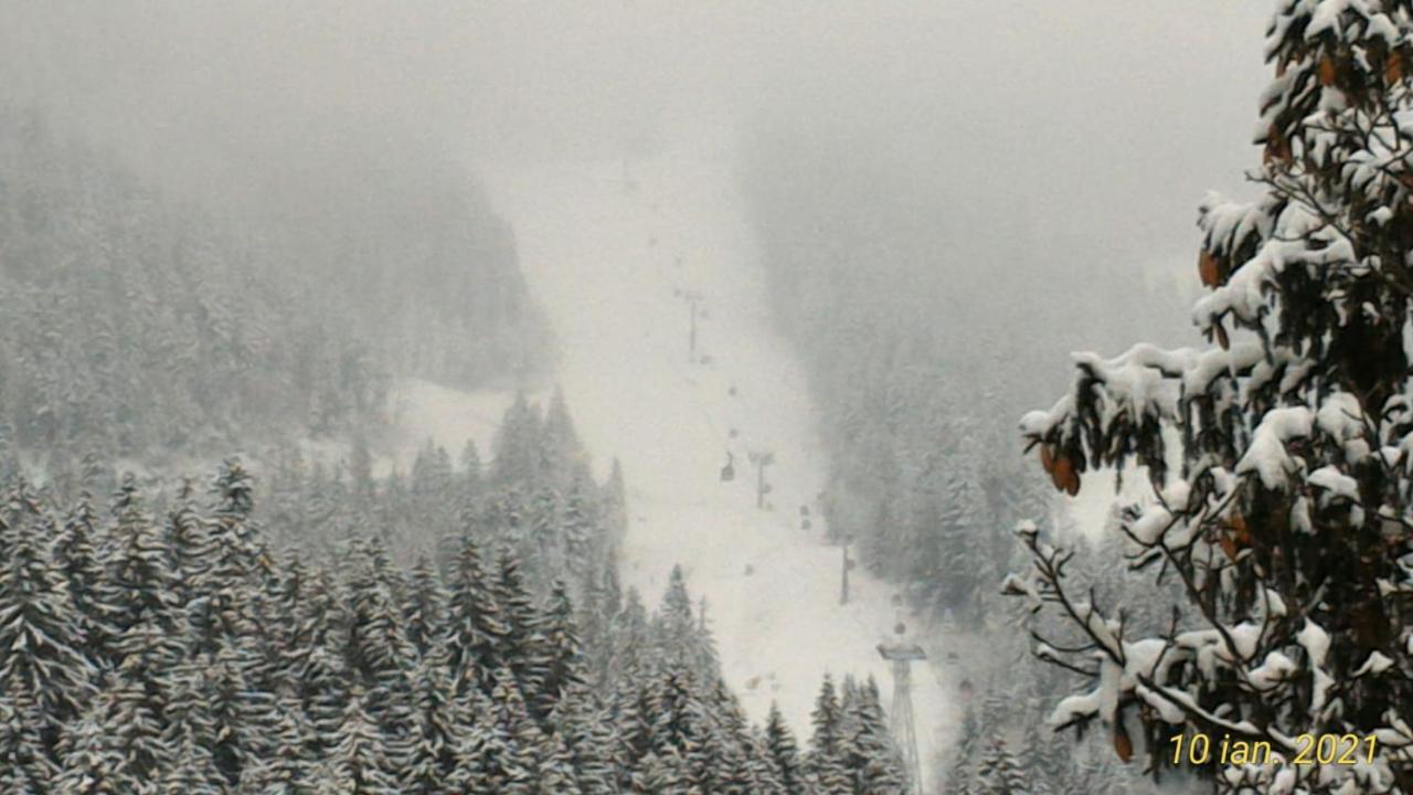 Pension Condor Poiana Brasov Eksteriør billede